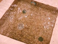 -中家鑫园温泉酒店鑫悦汤泉