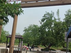 -御林古桑园