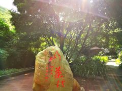 -大雁山风景区