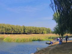 -羊亭河湿地公园