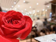 大堂-关夫人餐厅(阳光广场店)