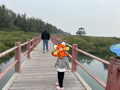 -北海金海湾红树林生态旅游区