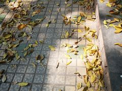 -恩宁刘福记(东华东路店)