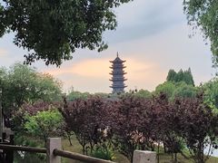 -乌镇景区