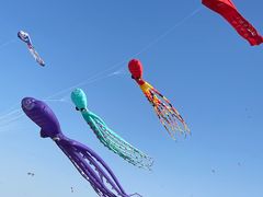 -潍坊滨海云门国际风筝放飞场