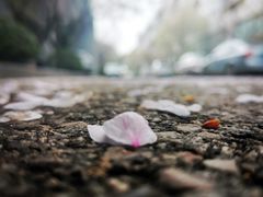 -南京工程学院(江宁校区)