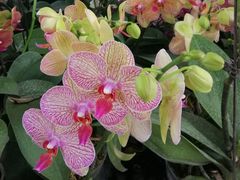 -南通洲际绿博园