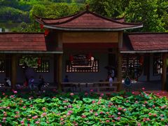 -广州莲花山旅游区
