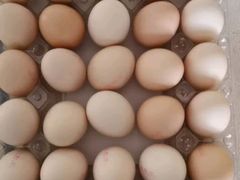 -北京小肠陈饭庄(方庄店)