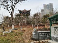 -西海子公园