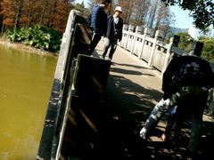 -四海公园(南山区)
