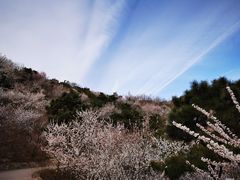 -北京西山国家森林公园