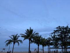 -野狸岛