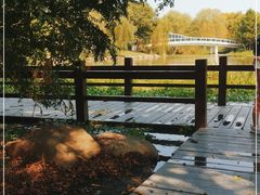 -九里河湿地公园