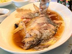 鲥鱼-龙汇酒家(沪闵路店)