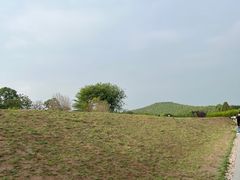 -秦始皇帝陵博物院-丽山园