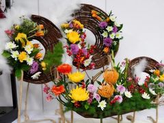 -合肥滨湖国家森林公园