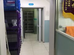 -中农大我爱我爱24h动物医院·中医针灸·猫专科·骨科医疗中心(双井店)