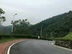 -火炉山森林公园