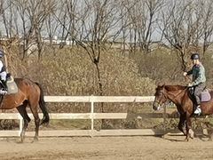 -月河湾马术俱乐部(朝阳店)