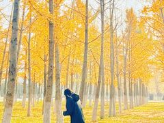 -汉长安城未央宫国家考古遗址公园