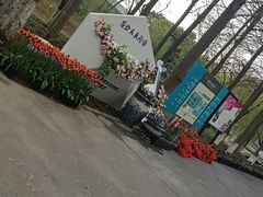 -上海鲜花港