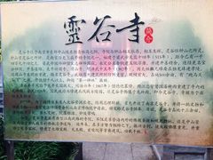 -灵谷景区