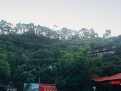 -鲤鱼塘农家山庄