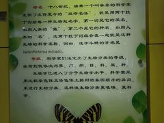 -上海昆虫博物馆