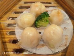 -宝园酒家(美林M·LIVE天地东座店)
