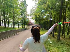 -上海长兴岛郊野公园