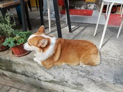 -小梁哥云吞面(黄贝岭店)