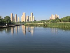 -前关湿地公园