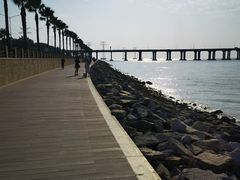 -宝安西湾红树林湿地公园