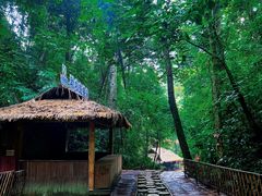 -西双版纳基诺山寨