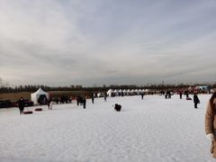 -绿野森林乐园冰雪季