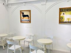 -Let's go狗咖·猫咖·奶狗·桌游(春熙路IFS店)