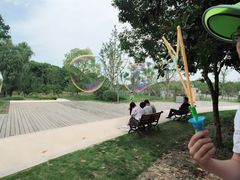 -昆山城市生态森林公园