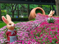 -上海共青森林公园