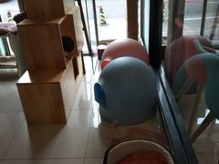 -纳吉亚猫专科动物医院博雅分院