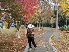 -八大山人梅湖景区