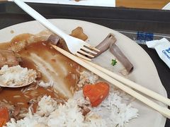 -广州长隆飞鸟乐园