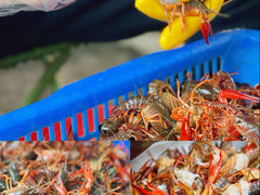 -一起吃小龙虾·海鲜(海珠店)