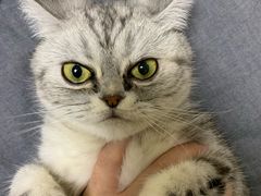 -盛兴面馆(真儒大厦店)