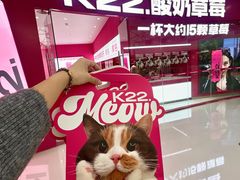 -K22.酸奶草莓(烟台芝罘店)