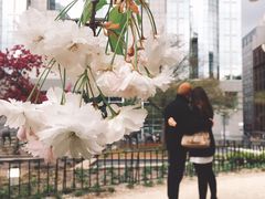 -新欧盟总部大厦