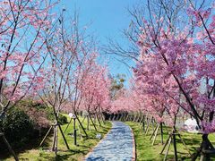 -福建鲤鱼洲酒店
