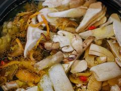 -蘑统田下·野生菌火锅