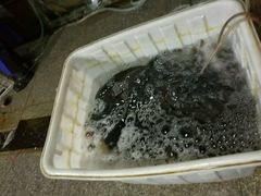 -四道口水产市场