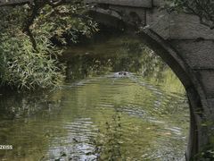-拙政园